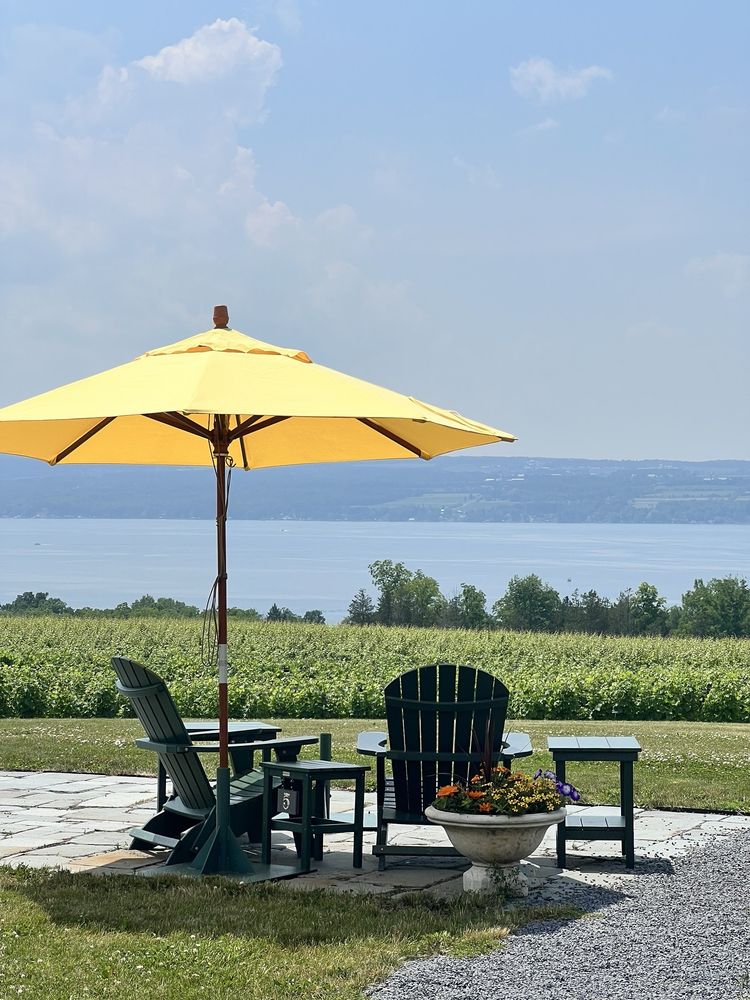 Boundary Breaks - vineyard in Lodi, NY