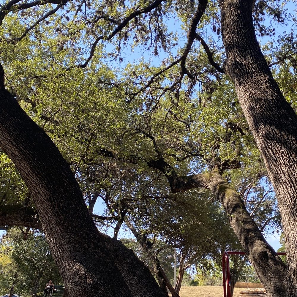 Little Stacy Park - Parks Near Me - Austin, Texas Little Stacy Park - Parks Near Me - Austin, Texas