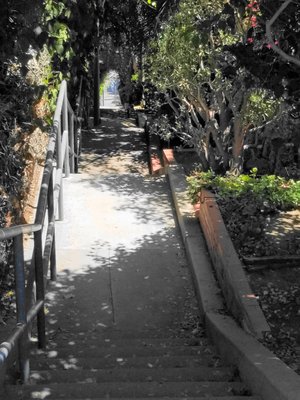 Music Box Stairs by null