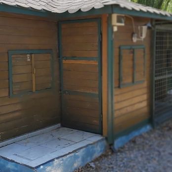 Bobyland Kopek Oteli 16 Photos Pet Sitting No 80 Izmir Turkey Phone Number Yelp