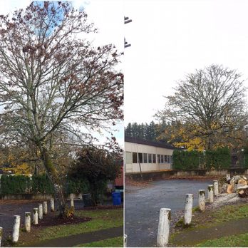 Wever's Tree Service - Removal - Tree Services Near Me - Boring, Oregon Wever's Tree Service - Removal - Tree Services Near Me - Boring, Oregon