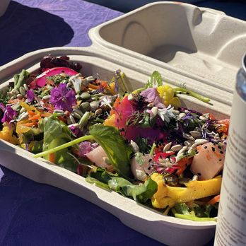Iggy's Alive & Cultured - Funky Fresh Salad - Desserts Near Me - Kingston, Washington Iggy's Alive & Cultured - Funky Fresh Salad - Desserts Near Me - Kingston, Washington