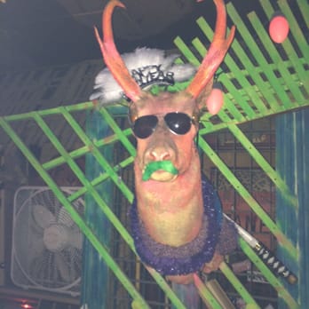 Bob's Java Jive - Dive Bars Near Me - Tacoma, Washington Bob's Java Jive - Dive Bars Near Me - Tacoma, Washington