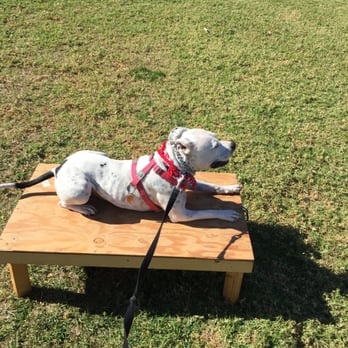 Empire K9 Dog Training - Pet Training Near Me Empire K9 Dog Training - Pet Training Near Me
