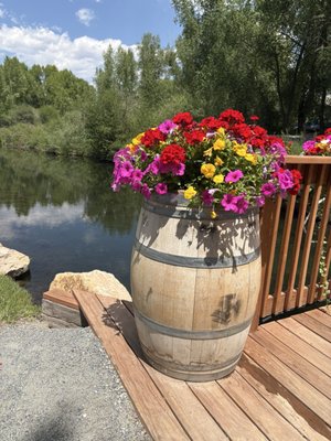 Almont Resort, Restaurant and Bar 47 by null