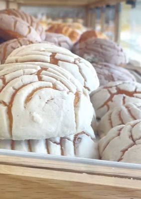 La Concha Bakery by null