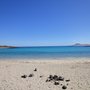 Photo of Concha