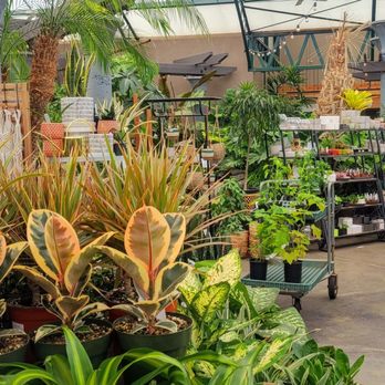 Swansons Nursery - Nurseries & Gardening Near Me - Seattle, Washington