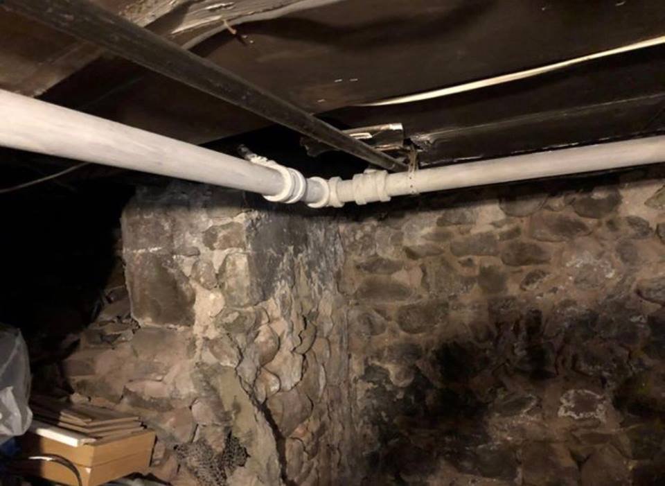 Rizov - mold inspector in Garfield, NJ