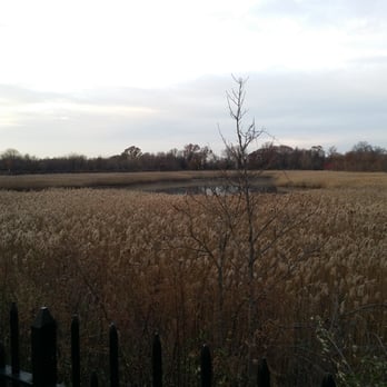Highland Park - Parks Near Me - Brooklyn, New York Highland Park - Parks Near Me - Brooklyn, New York