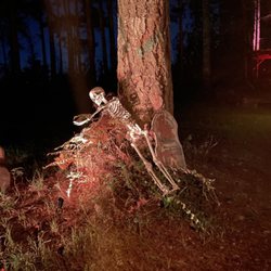 My Haunted Forest - My Haunted Forest