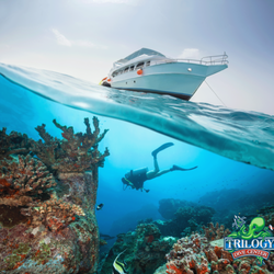 Trilogy Dive Center