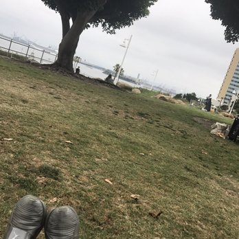 Yogalution on the Bluff - Yoga on the Bluff during an overcast day... - Yoga Near Me - Long Beach, California Yogalution on the Bluff - Yoga on the Bluff during an overcast day... - Yoga Near Me - Long Beach, California