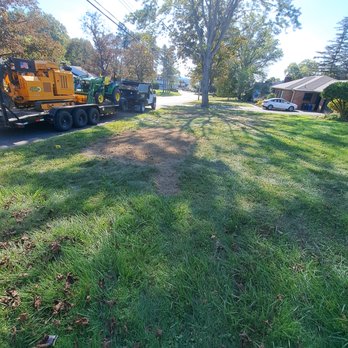 Grind Time - Tree Services Near Me - Johnstown, New York Grind Time - Tree Services Near Me - Johnstown, New York