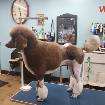Woof Central - Pet Groomers Near Me - Richfield, Minnesota Woof Central - Pet Groomers Near Me - Richfield, Minnesota