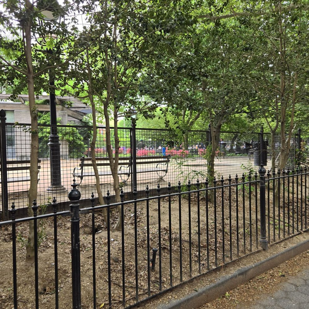 Washington Square Park - Parks Near Me - New York, New York Washington Square Park - Parks Near Me - New York, New York