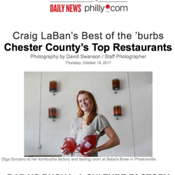 Baba's Brew - Craig LeBan's Best of the Burbs