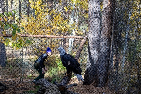 High Desert Museum by null