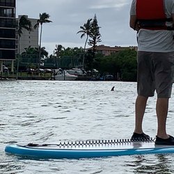 Bonita Paddles