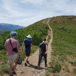 Twin Peaks Avenue Trail