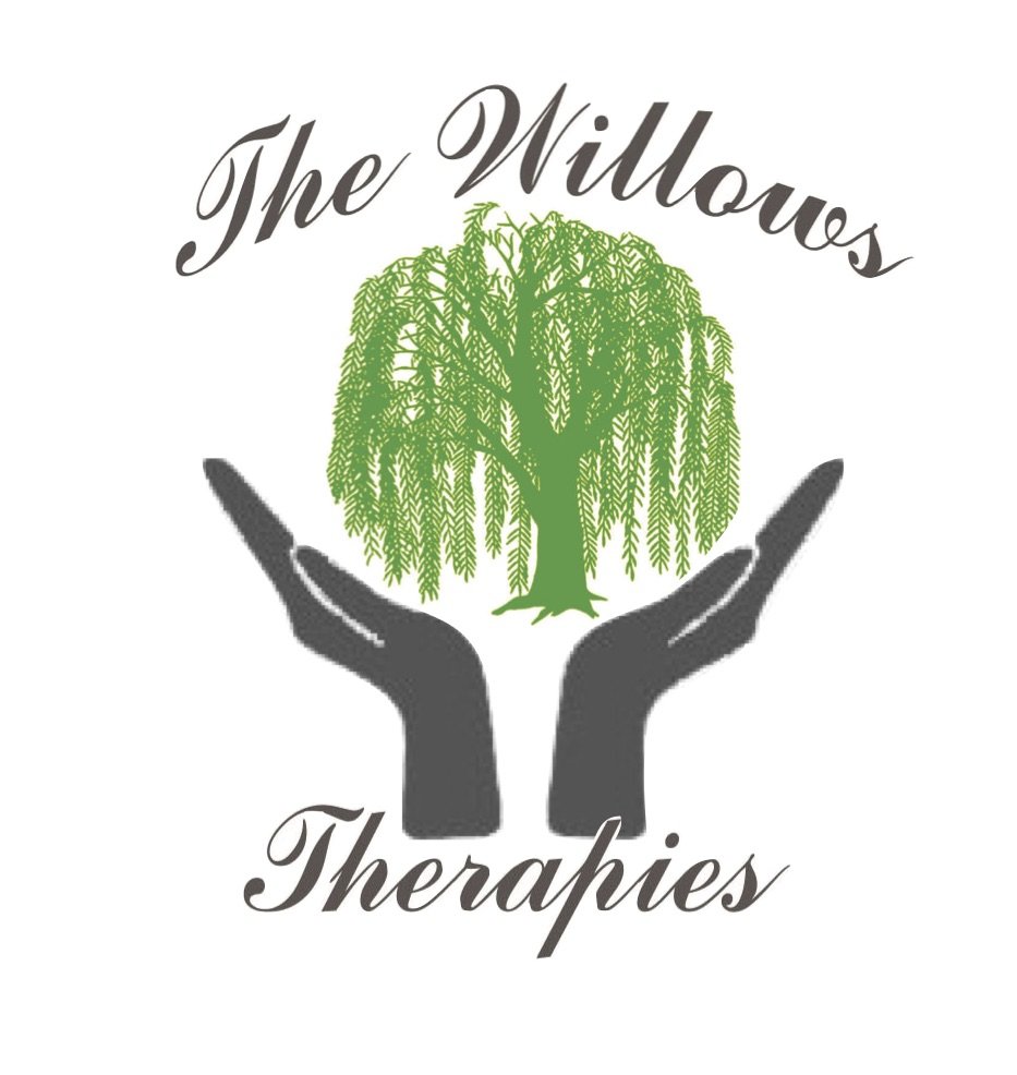 THE WILLOWS HOLISTIC THERAPIES Updated May 2024 Ground Floor Room T010A The OpTIC Centre