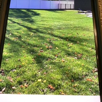 Monmouth Sod - a view of a house through a cell phone - Lawn Services Near Me - Hazlet, New Jersey Monmouth Sod - a view of a house through a cell phone - Lawn Services Near Me - Hazlet, New Jersey