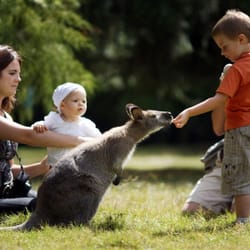 Parc Animalier et Botanique de Branféré - Sortie en famille