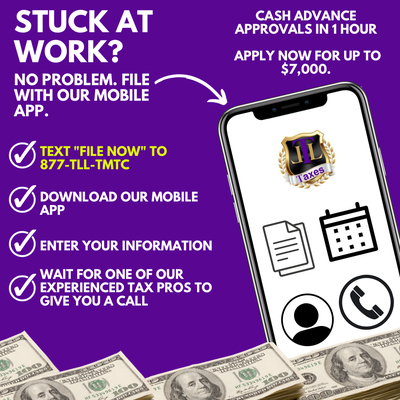 Tax Lady Lain Taxes & Notary