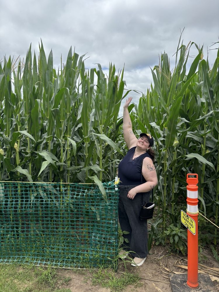 Field of Dreams Movie Site Logo
