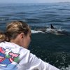 SoCal Charters gift card