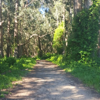 Andrew Molera State Park - Shaded trail - Parks Near Me - Big Sur, California