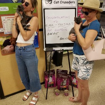 Petco - Pet Stores Near Me - Wesley Chapel, Florida