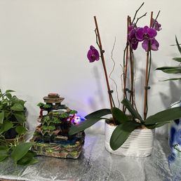 Front desk area