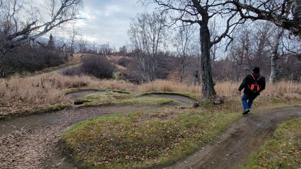 Kincaid Park by null