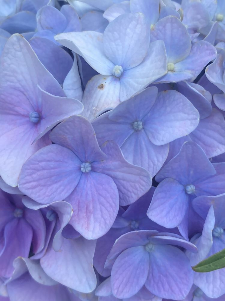 NEW BEDFORD MANAGEMENT Updated June 2024 56 Reviews 210 E 23rd St