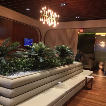 Turkish Airlines - Sitting area - Airlines Near Me - Dulles, Virginia