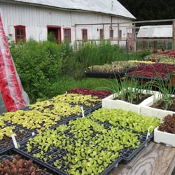 Les Trésors du Terroir