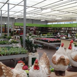 Tuin