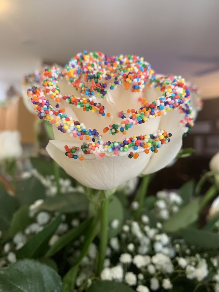 THE DANCING DANDELION FLOWER SHOP 95 Photos & 144 Reviews Florists