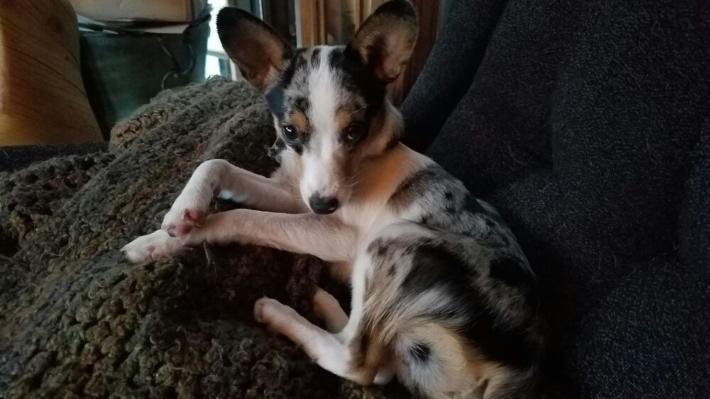 Slide of Drains 24/7