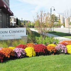 North Pointe Dental Care
