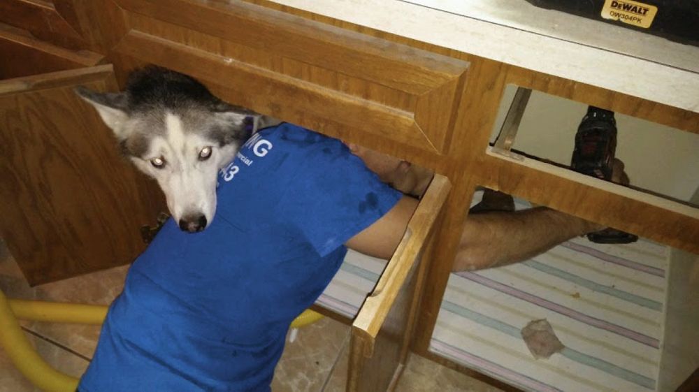 Slide of Uptown Plumbing & Drains