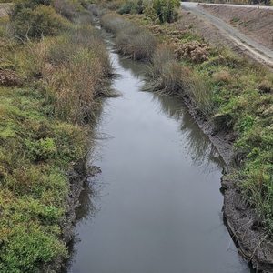 Guadalupe River Trail on Yelp