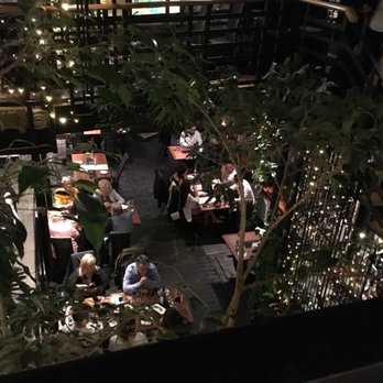 Ubiquitous Chip - Courtyard inside - Bars Near Me - Glasgow, GLG Ubiquitous Chip - Courtyard inside - Bars Near Me - Glasgow, GLG