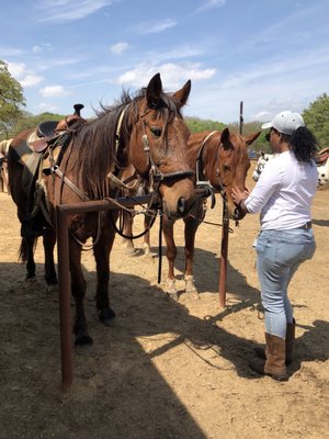 MARSHALL CREEK RANCH - 61 Photos & 46 Reviews - Summer Camps - 4401 Tw
