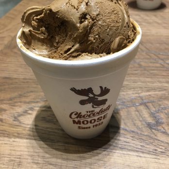 The Chocolate Moose - Chocolate blizz with peanut butter! - Ice Cream & Frozen Yogurt Near Me - Bloomington, Indiana
