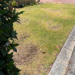 Broadmoor Lawn Services