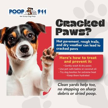 Poop 911 - Pet Waste Removal Near Me Poop 911 - Pet Waste Removal Near Me