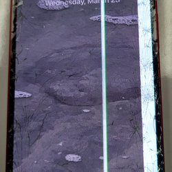 IPhix CellPhone Repair