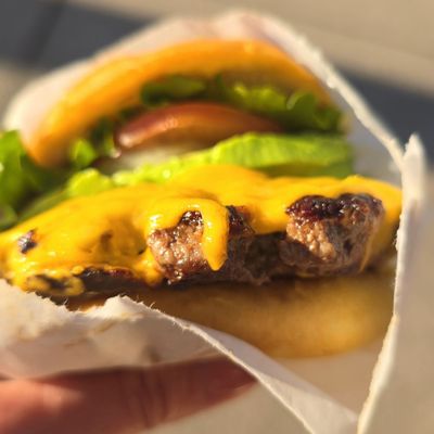 Shake Shack Hillsdale by null